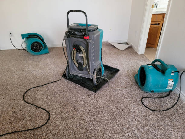 Best Water damage restoration near me  in Dale, IN