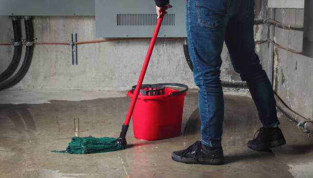 Best Water damage repair service  in Dale, IN