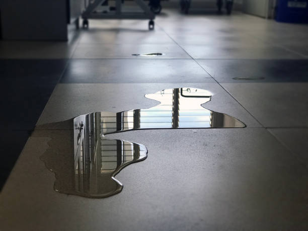 Professional Water damage restoration in Dale, IN