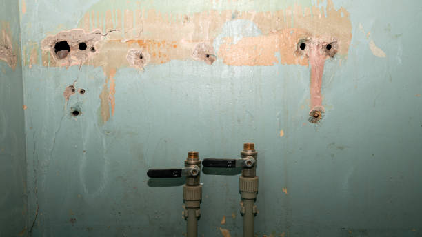 Best Local water damage restoration  in Dale, IN