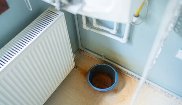 Best 24/7 water damage repair  in Dale, IN