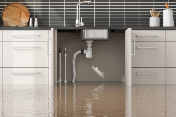 Best Professional water damage repair  in Dale, IN