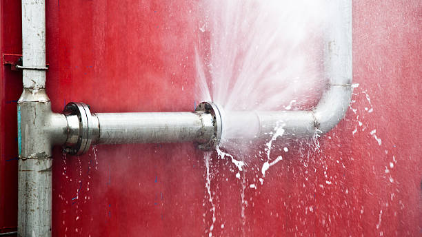 Best Mold removal after water damage  in Dale, IN